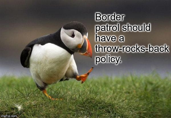 Popular opinion puffin | Border patrol should have a throw-rocks-back policy. | image tagged in popular opinion puffin | made w/ Imgflip meme maker