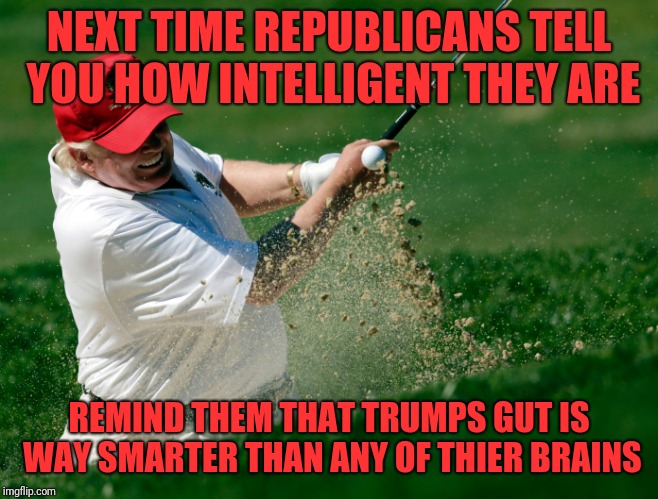 NEXT TIME REPUBLICANS TELL YOU HOW INTELLIGENT THEY ARE REMIND THEM THAT TRUMPS GUT IS WAY SMARTER THAN ANY OF THIER BRAINS | made w/ Imgflip meme maker