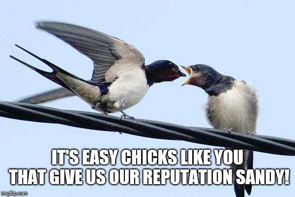IT'S EASY CHICKS LIKE YOU THAT GIVE US OUR REPUTATION SANDY! | made w/ Imgflip meme maker