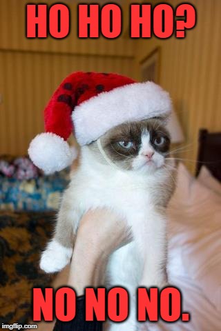 Grumpy Cat Christmas Meme | HO HO HO? NO NO NO. | image tagged in memes,grumpy cat christmas,grumpy cat,cat,happy holidays | made w/ Imgflip meme maker