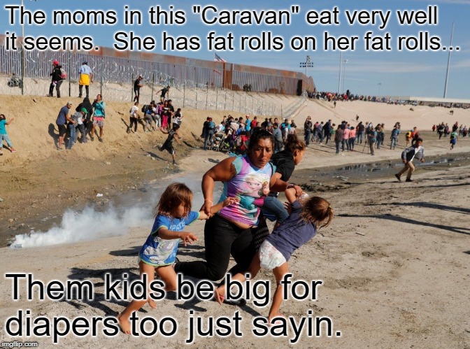 Tear gas | The moms in this "Caravan" eat very well it seems.  She has fat rolls on her fat rolls... Them kids be big for diapers too just sayin. | image tagged in tear gas | made w/ Imgflip meme maker