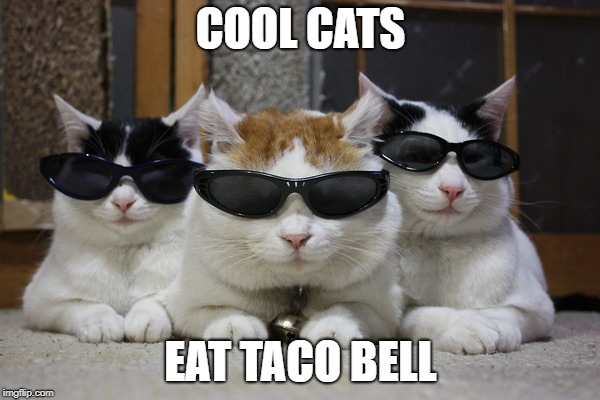 Coolcats  | COOL CATS EAT TACO BELL | image tagged in coolcats | made w/ Imgflip meme maker