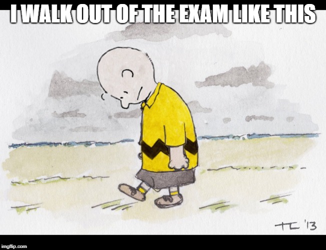 Charlie Brown Sad Walk | I WALK OUT OF THE EXAM LIKE THIS | image tagged in charlie brown sad walk | made w/ Imgflip meme maker