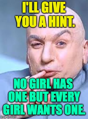 I'LL GIVE YOU A HINT. NO GIRL HAS ONE BUT EVERY GIRL WANTS ONE. | made w/ Imgflip meme maker