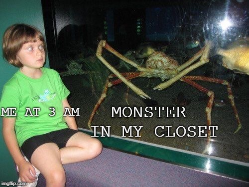 Spooky | ME AT 3 AM; MONSTER IN MY CLOSET | image tagged in funny memes,meme,funny,spooky,monster,crab | made w/ Imgflip meme maker
