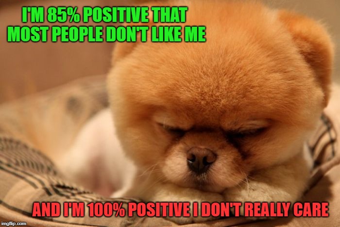 Not Caring | I'M 85% POSITIVE THAT MOST PEOPLE DON'T LIKE ME; AND I'M 100% POSITIVE I DON'T REALLY CARE | image tagged in cute dog,yep i dont care,positive | made w/ Imgflip meme maker