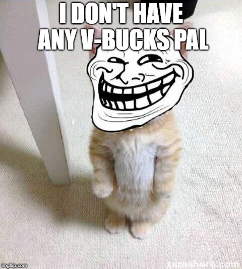 Troll Cat | I DON'T HAVE ANY V-BUCKS PAL | image tagged in troll cat | made w/ Imgflip meme maker