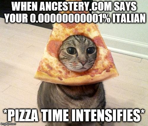 when ancestery.com says your 0.00000000001% italian: | WHEN ANCESTERY.COM SAYS YOUR 0.00000000001% ITALIAN; *PIZZA TIME INTENSIFIES* | image tagged in pizza cat | made w/ Imgflip meme maker