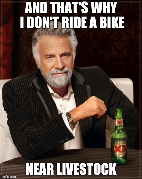 The Most Interesting Man In The World Meme | AND THAT'S WHY I DON'T RIDE A BIKE NEAR LIVESTOCK | image tagged in memes,the most interesting man in the world | made w/ Imgflip meme maker