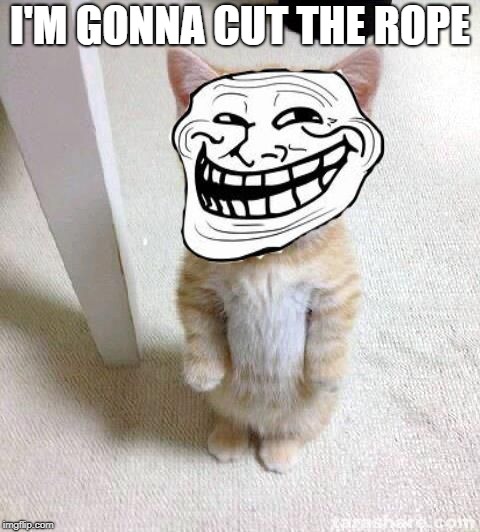 Troll Cat | I'M GONNA CUT THE ROPE | image tagged in troll cat | made w/ Imgflip meme maker