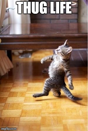 Walking Cat | THUG LIFE | image tagged in walking cat | made w/ Imgflip meme maker