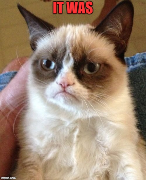 Grumpy Cat Meme | IT WAS | image tagged in memes,grumpy cat | made w/ Imgflip meme maker
