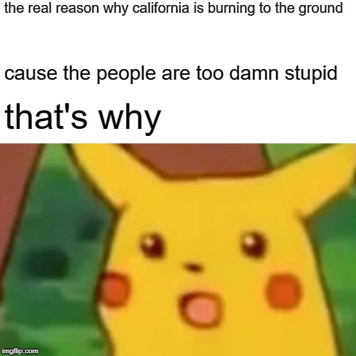 I can't stand Californians >.> | the real reason why california is burning to the ground; cause the people are too damn stupid; that's why | image tagged in memes,surprised pikachu | made w/ Imgflip meme maker