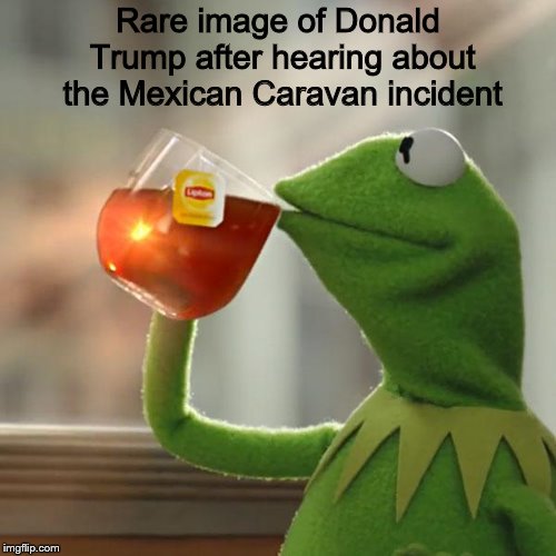 "But That's None Of My Business" -Donald Trump | Rare image of Donald Trump after hearing about the Mexican Caravan incident | image tagged in memes,but thats none of my business,kermit the frog | made w/ Imgflip meme maker