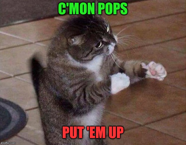 C'MON POPS PUT 'EM UP | made w/ Imgflip meme maker