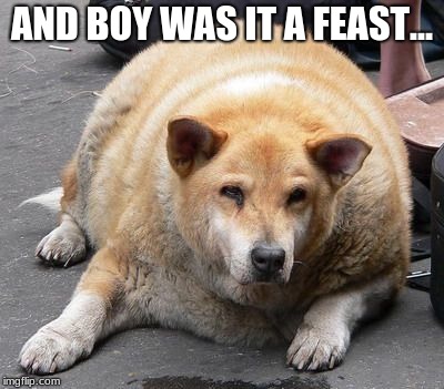 fat dog | AND BOY WAS IT A FEAST... | image tagged in fat dog | made w/ Imgflip meme maker