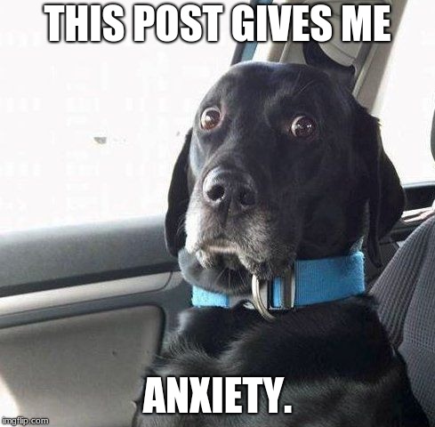 suprised dog | THIS POST GIVES ME ANXIETY. | image tagged in suprised dog | made w/ Imgflip meme maker