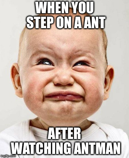 CryingBaby | WHEN YOU STEP ON A ANT; AFTER WATCHING ANTMAN | image tagged in cryingbaby | made w/ Imgflip meme maker