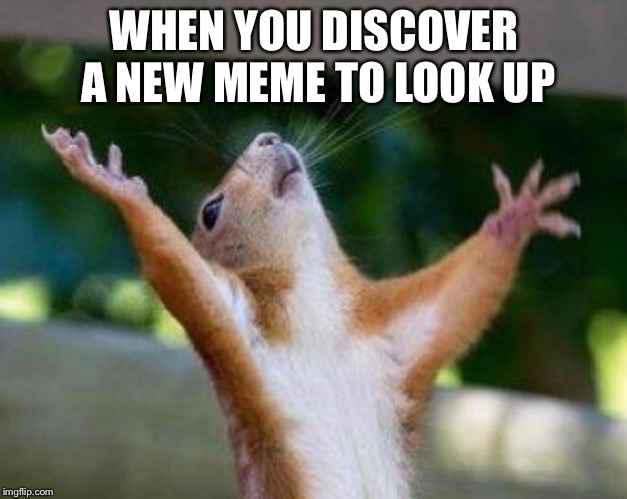 WHEN YOU DISCOVER A NEW MEME TO LOOK UP | image tagged in relatable | made w/ Imgflip meme maker