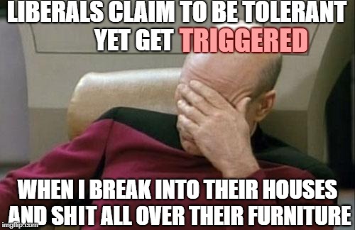 Liberals are hypocritical libtards who encourage horrifying acts such as feminism, communism, and homosexuality. | LIBERALS CLAIM TO BE TOLERANT YET GET; TRIGGERED; WHEN I BREAK INTO THEIR HOUSES AND SH  T ALL OVER THEIR FURNITURE; I | image tagged in liberals,libtards,left wing,triggered,feminist,america | made w/ Imgflip meme maker
