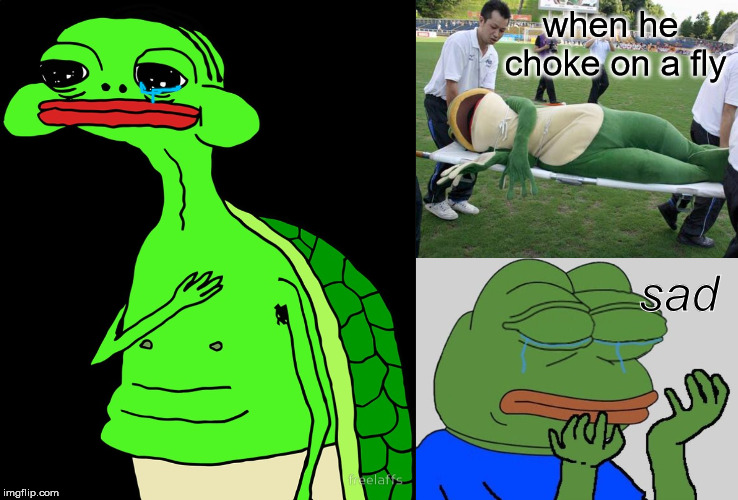 when he choke on a fly; sad | image tagged in dat boi | made w/ Imgflip meme maker