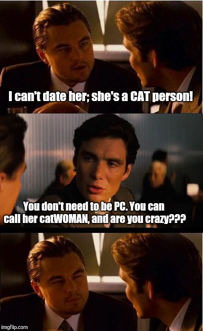 Inception Meme | I can't date her; she's a CAT person! You don't need to be PC. You can call her catWOMAN, and are you crazy??? | image tagged in memes,inception | made w/ Imgflip meme maker