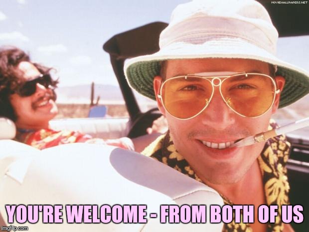 Fear and loathing | YOU'RE WELCOME - FROM BOTH OF US | image tagged in fear and loathing | made w/ Imgflip meme maker