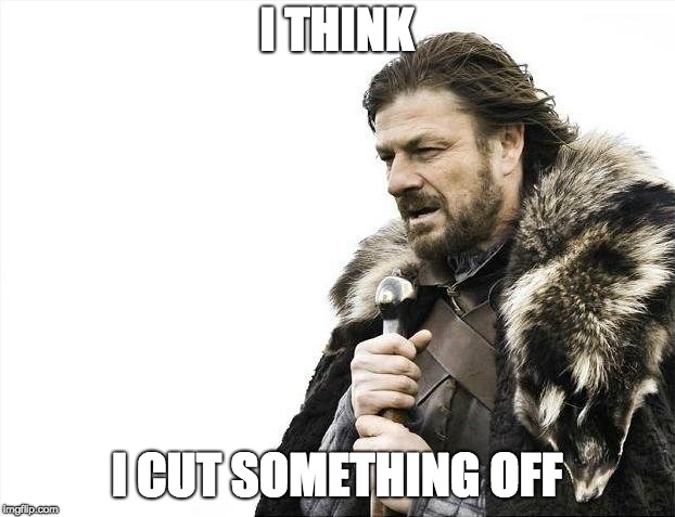 Brace Yourselves X is Coming | I THINK; I CUT SOMETHING OFF | image tagged in memes,brace yourselves x is coming | made w/ Imgflip meme maker