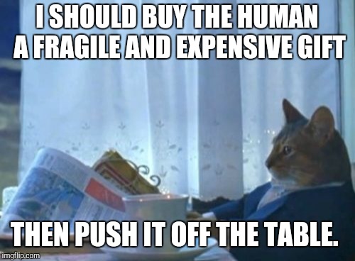 I Should Buy A Boat Cat Meme | I SHOULD BUY THE HUMAN A FRAGILE AND EXPENSIVE GIFT; THEN PUSH IT OFF THE TABLE. | image tagged in memes,i should buy a boat cat | made w/ Imgflip meme maker