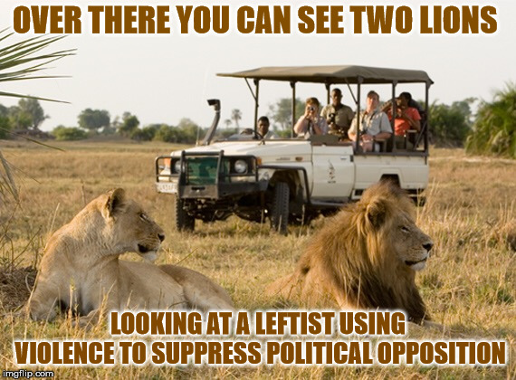 Safari jeep | OVER THERE YOU CAN SEE TWO LIONS LOOKING AT A LEFTIST USING VIOLENCE TO SUPPRESS POLITICAL OPPOSITION | image tagged in safari jeep | made w/ Imgflip meme maker