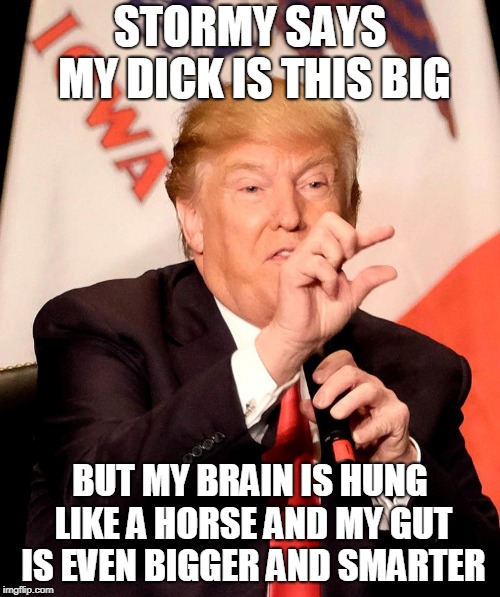 STORMY SAYS MY DICK IS THIS BIG; BUT MY BRAIN IS HUNG LIKE A HORSE AND MY GUT IS EVEN BIGGER AND SMARTER | image tagged in trump | made w/ Imgflip meme maker