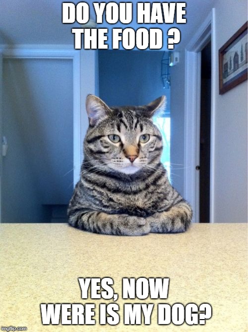 Take A Seat Cat Meme | DO YOU HAVE THE FOOD ? YES, NOW WERE IS MY DOG? | image tagged in memes,take a seat cat | made w/ Imgflip meme maker