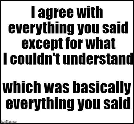 blank | I agree with everything you said except for what I couldn't understand which was basically everything you said | image tagged in blank | made w/ Imgflip meme maker
