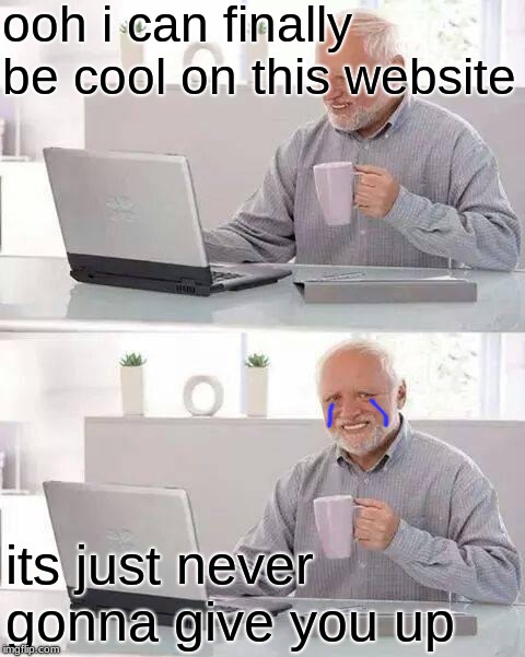 Hide the Pain Harold | ooh i can finally be cool on this website; its just never gonna give you up | image tagged in memes,hide the pain harold | made w/ Imgflip meme maker