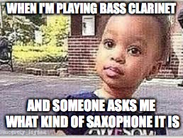 escuse meh | WHEN I'M PLAYING BASS CLARINET; AND SOMEONE ASKS ME WHAT KIND OF SAXOPHONE IT IS | image tagged in saxophone,bass,excuse me | made w/ Imgflip meme maker