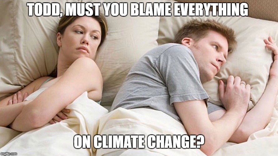 I Wonder What He's Thinking | TODD, MUST YOU BLAME EVERYTHING; ON CLIMATE CHANGE? | image tagged in i wonder what he's thinking | made w/ Imgflip meme maker