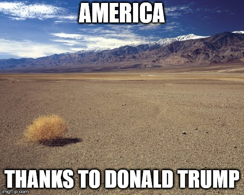 desert tumbleweed | AMERICA; THANKS TO DONALD TRUMP | image tagged in desert tumbleweed | made w/ Imgflip meme maker