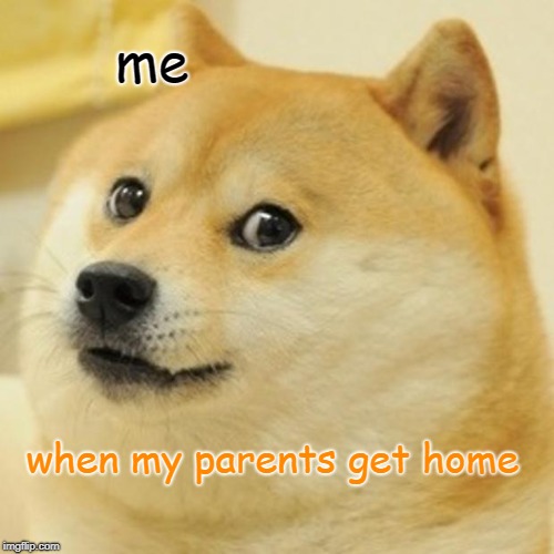 Doge Meme | me; when my parents get home | image tagged in memes,doge | made w/ Imgflip meme maker