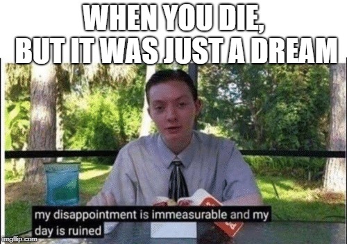 My dissapointment is immeasurable and my day is ruined | WHEN YOU DIE, BUT IT WAS JUST A DREAM | image tagged in my dissapointment is immeasurable and my day is ruined | made w/ Imgflip meme maker