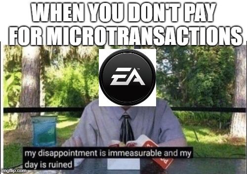 My dissapointment is immeasurable and my day is ruined | WHEN YOU DON'T PAY FOR MICROTRANSACTIONS | image tagged in my dissapointment is immeasurable and my day is ruined | made w/ Imgflip meme maker
