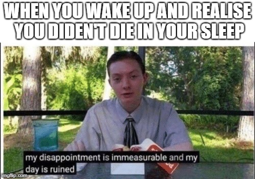 My dissapointment is immeasurable and my day is ruined | WHEN YOU WAKE UP AND REALISE YOU DIDEN'T DIE IN YOUR SLEEP | image tagged in my dissapointment is immeasurable and my day is ruined | made w/ Imgflip meme maker