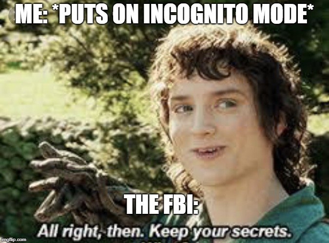 All Right Then, Keep Your Secrets | ME: *PUTS ON INCOGNITO MODE*; THE FBI: | image tagged in all right then keep your secrets | made w/ Imgflip meme maker