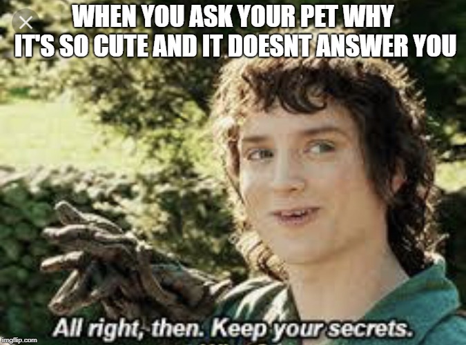 All Right Then, Keep Your Secrets | WHEN YOU ASK YOUR PET WHY IT'S SO CUTE AND IT DOESNT ANSWER YOU | image tagged in all right then keep your secrets | made w/ Imgflip meme maker