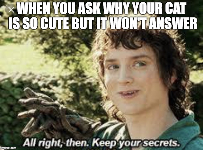 All Right Then, Keep Your Secrets | WHEN YOU ASK WHY YOUR CAT IS SO CUTE BUT IT WON'T ANSWER | image tagged in all right then keep your secrets | made w/ Imgflip meme maker