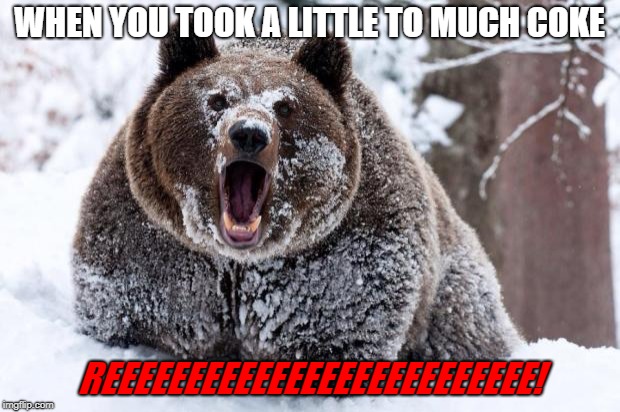 Cocaine bear | WHEN YOU TOOK A LITTLE TO MUCH COKE; REEEEEEEEEEEEEEEEEEEEEEEEEE! | image tagged in cocaine bear | made w/ Imgflip meme maker