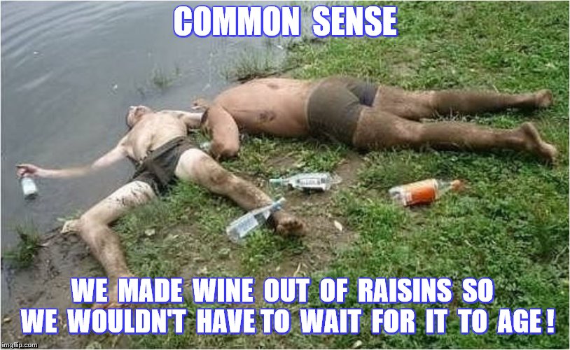 COMMON  SENSE WE  MADE  WINE  OUT  OF  RAISINS  SO  WE  WOULDN'T  HAVE TO  WAIT  FOR  IT  TO  AGE ! | made w/ Imgflip meme maker