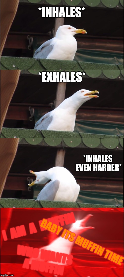 seagull muffing | *INHALES*; *EXHALES*; *INHALES EVEN HARDER*; I  AM  A  MUFFIN; BABY ITS MUFFIN TIME; WHO WANTS A MUFFIN | image tagged in memes,inhaling seagull,muffin | made w/ Imgflip meme maker
