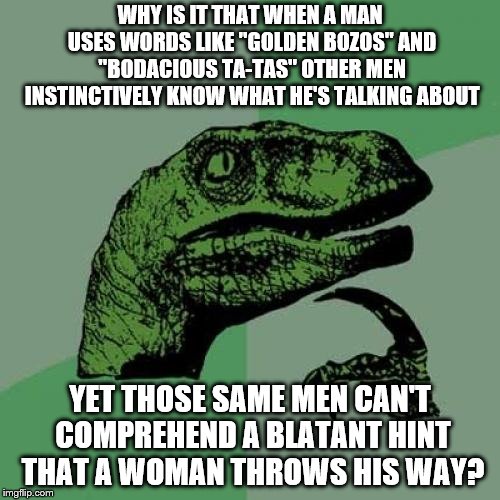 Philosoraptor Meme | WHY IS IT THAT WHEN A MAN USES WORDS LIKE "GOLDEN BOZOS" AND "BODACIOUS TA-TAS" OTHER MEN INSTINCTIVELY KNOW WHAT HE'S TALKING ABOUT; YET THOSE SAME MEN CAN'T COMPREHEND A BLATANT HINT THAT A WOMAN THROWS HIS WAY? | image tagged in memes,philosoraptor | made w/ Imgflip meme maker