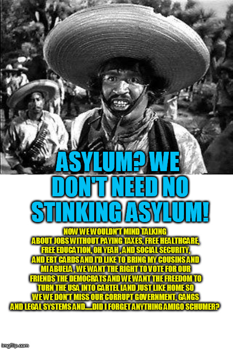 ASYLUM? WE DON'T NEED NO STINKING ASYLUM! NOW WE WOULDN'T MIND TALKING ABOUT JOBS WITHOUT PAYING TAXES, FREE HEALTHCARE, FREE EDUCATION, OH YEAH , AND SOCIAL SECURITY, AND EBT CARDS AND I'D LIKE TO BRING MY COUSINS AND MI ABUELA , WE WANT THE RIGHT TO VOTE FOR OUR FRIENDS THE DEMOCRATS AND WE WANT THE FREEDOM TO TURN THE USA INTO CARTEL LAND JUST LIKE HOME SO WE WE DON'T MISS OUR CORRUPT GOVERNMENT, GANGS AND LEGAL SYSTEMS AND.....DID I FORGET ANYTHING AMIGO SCHUMER? | image tagged in badges,blank white template | made w/ Imgflip meme maker