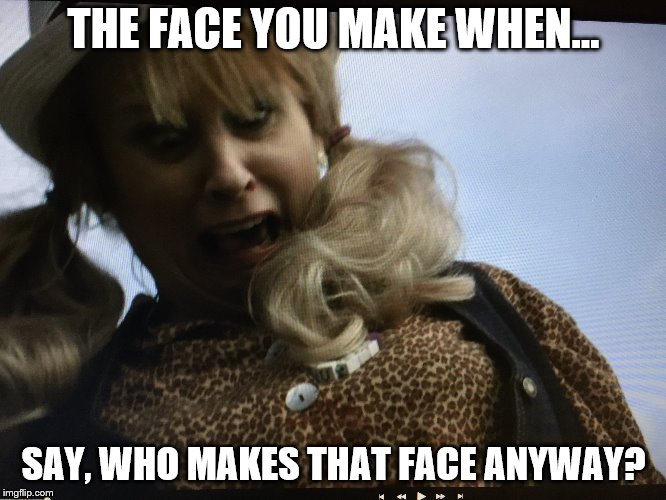 THE FACE YOU MAKE WHEN... SAY, WHO MAKES THAT FACE ANYWAY? | image tagged in susan wynne lunning | made w/ Imgflip meme maker
